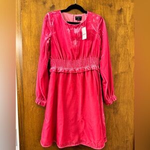 Crewcuts Vibrant Pink Velvet Kids Dress